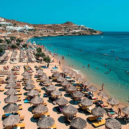Paradise